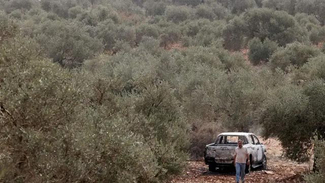إسرائيل تعتقل مرشحا للكونغرس الأميركي أثناء قطف الزيتون في الضفة الغربية