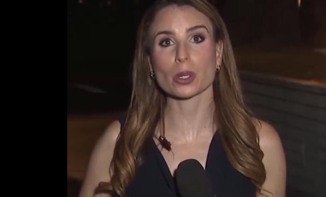 صرصور طائر يهاجم مذيعة على الهواء.. وثباتها الانفعالي الأسطوري يذهل المشاهدين (خبر + فيديو)
