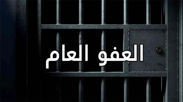 لماذا العفو العام...