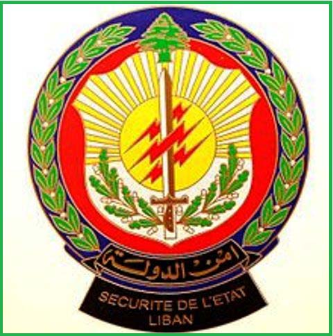 أمن الدولة: استشهاد 13 عنصرًا نتيجة استهداف مبنى سرايا النبطية الحكومية