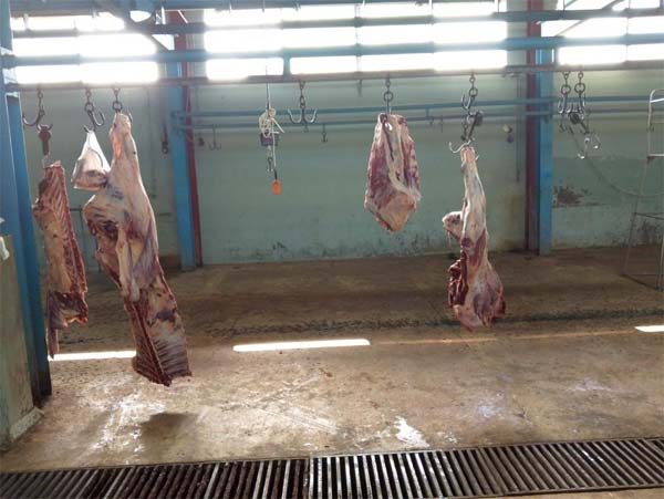 مصلحة الاقتصاد جنوباً: إعادة فتح مسلخ صيدا بعد التثبت من تنفيذه الشروط المطلوبة