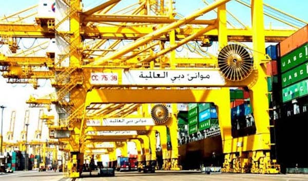 انسحاب استثمارات بريطانية وكندية... فضيحة إبستين تهز موانئ دبي العالمية
